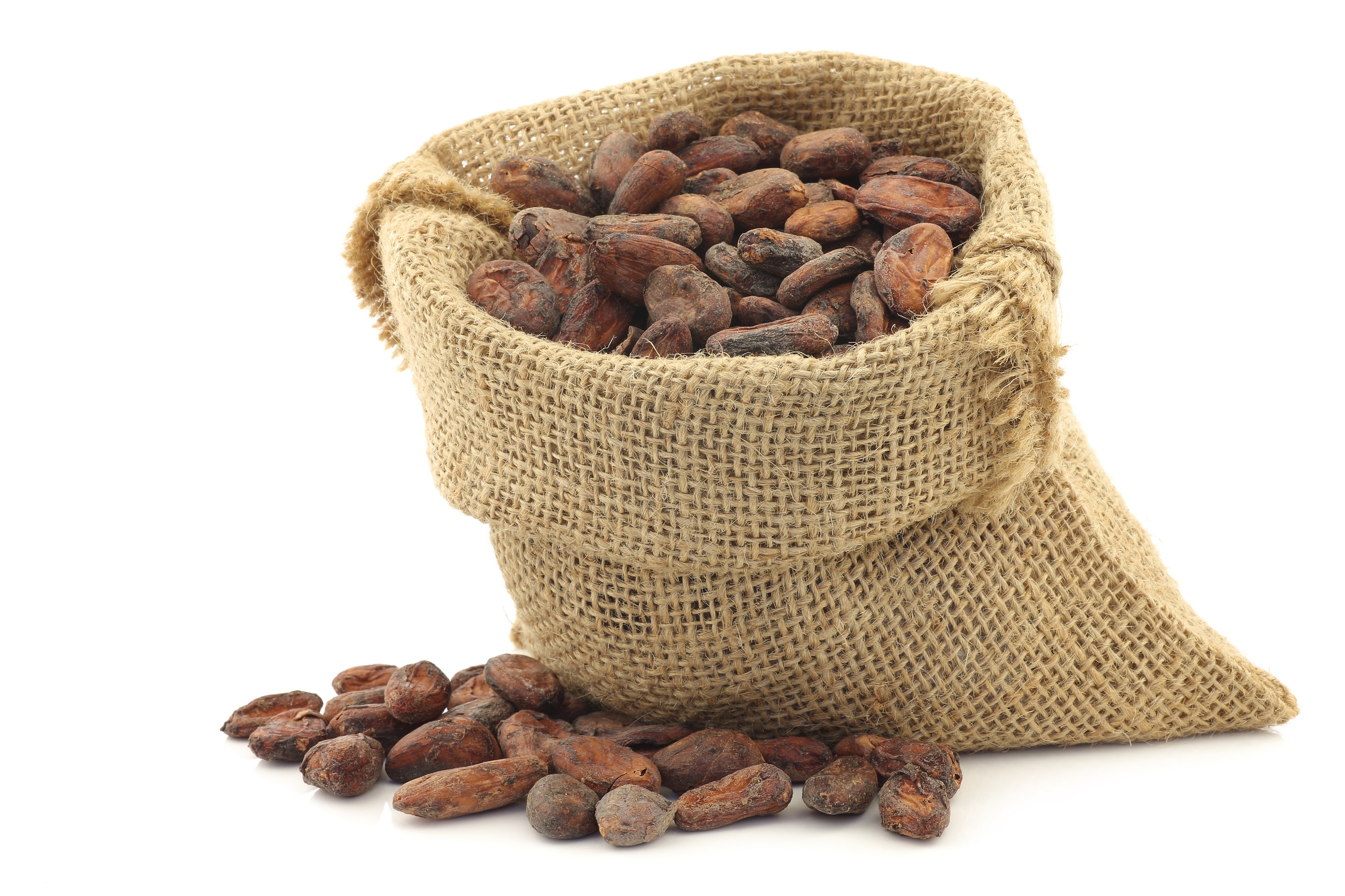 Cocoa